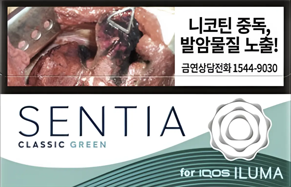 센티아 그린