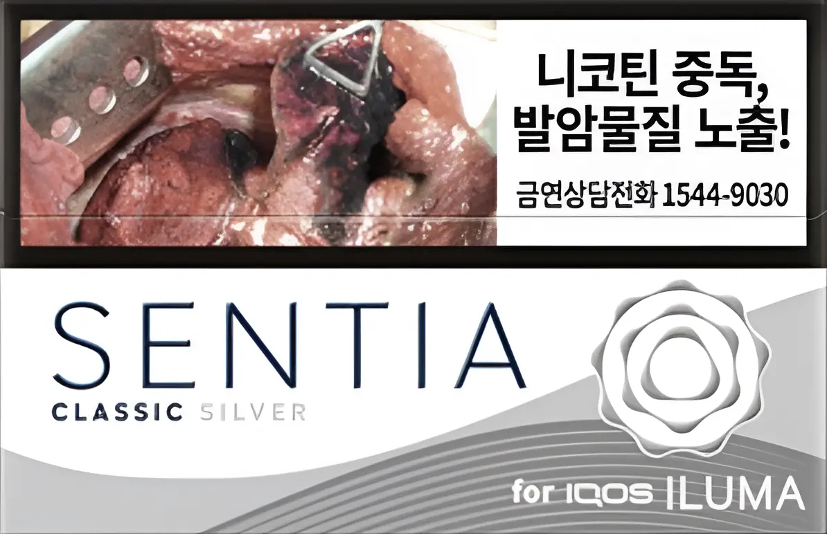 센티아 실버